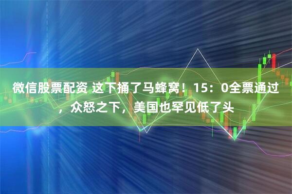 微信股票配资 这下捅了马蜂窝！15：0全票通过，众怒之下，美国也罕见低了头